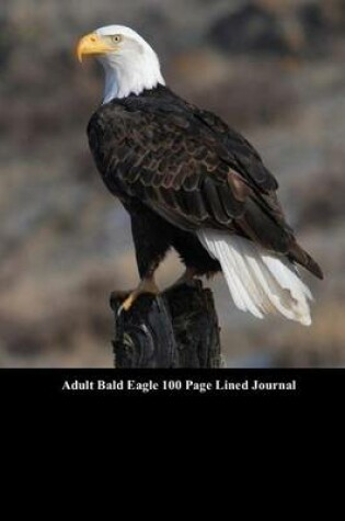 Cover of Adult Bald Eagle 100 Page Lined Journal