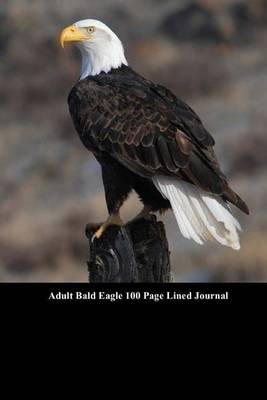 Book cover for Adult Bald Eagle 100 Page Lined Journal