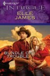 Book cover for Bundle of Trouble