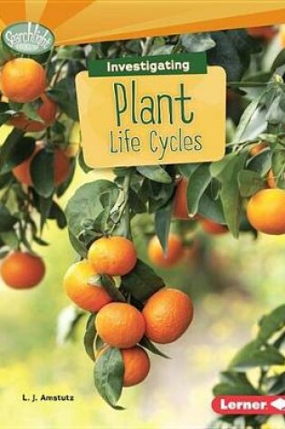 Cover of Investigating Plant Life Cycles