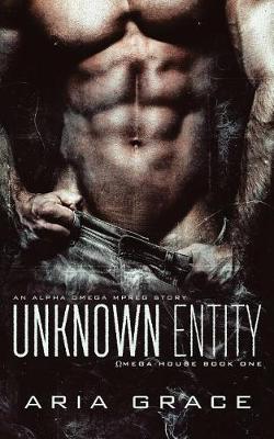 Book cover for Unknown Entity