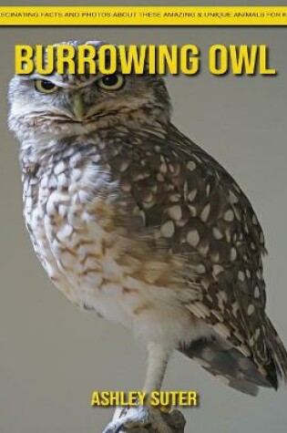 Cover of Burrowing Owl