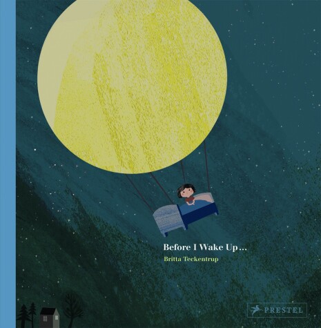 Book cover for Before I Wake Up