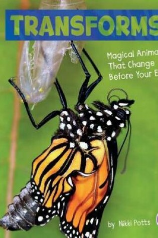 Cover of It Transforms!: Magical Animals That Change Before Your Eyes (Magical Animals)