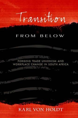 Book cover for Transition from below