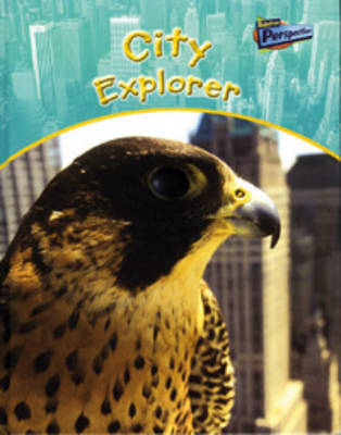 Book cover for City Explorer