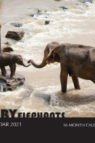 Cover of Baby Elephants Calendar 2021