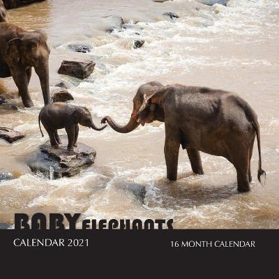 Book cover for Baby Elephants Calendar 2021