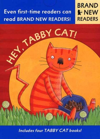 Cover of Hey, Tabby Cat!