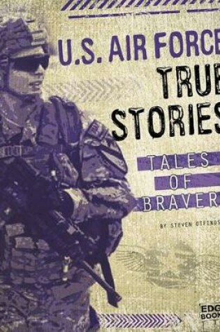 Cover of U.S. Air Force True Stories