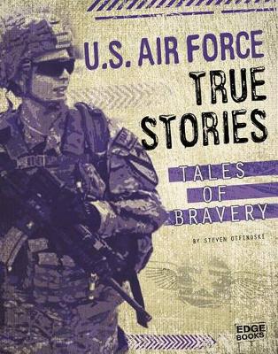 Cover of U.S. Air Force True Stories