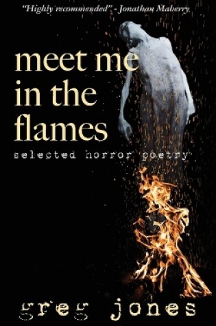 Cover of Meet Me in the Flames