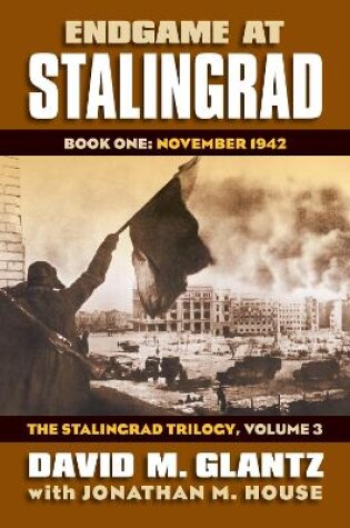 Cover of Endgame at Stalingrad: The Stalingrad Trilogy, Volume 3