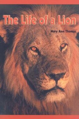 Cover of The Life of a Lion