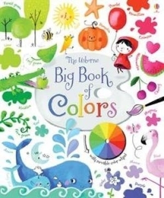 Book cover for Big Book of Colors