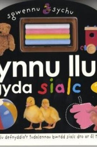 Cover of Sgwennu a Sychu: Tynnu Llun gyda Sialc