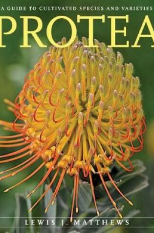 Cover of Protea