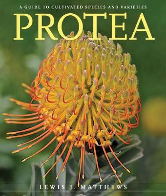 Cover of Protea