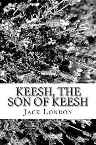 Cover of Keesh, the Son of Keesh