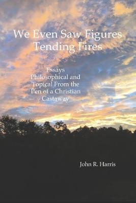 Cover of We Even Saw Figures Tending Fires