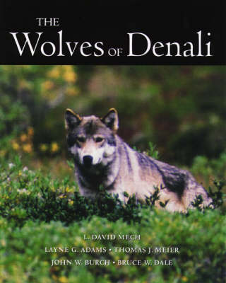 Book cover for Wolves Of Denali