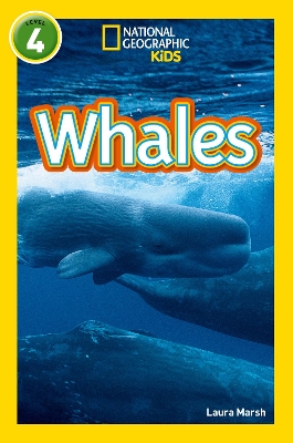 Cover of Whales