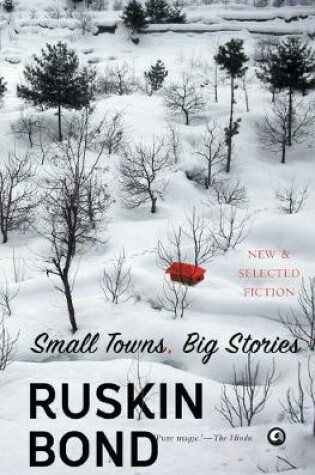 Cover of Small Towns, Big Stories