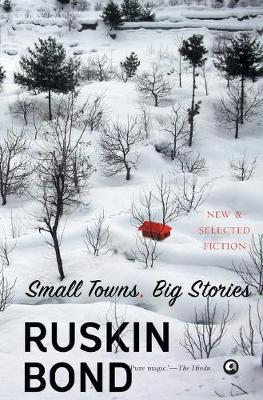 Book cover for Small Towns, Big Stories