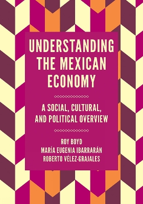 Book cover for Understanding the Mexican Economy