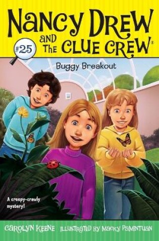 Cover of Buggy Breakout