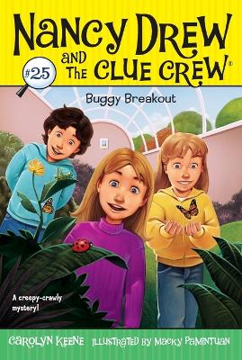 Book cover for Buggy Breakout