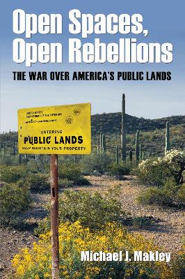 Book cover for Open Spaces, Open Rebellions