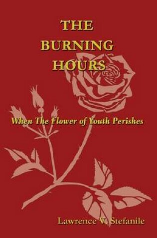 Cover of The Burning Hours