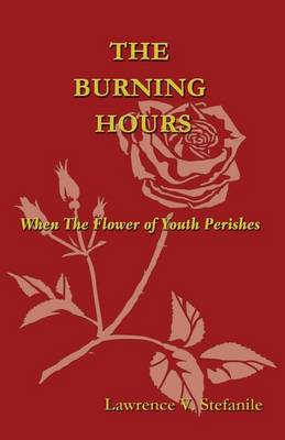 Book cover for The Burning Hours