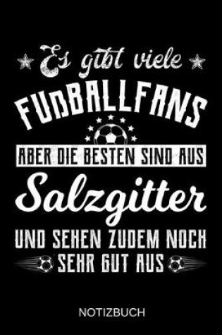 Cover of Es gibt viele Fußballfans aber die besten sind aus Salzgitter und sehen zudem noch sehr gut aus