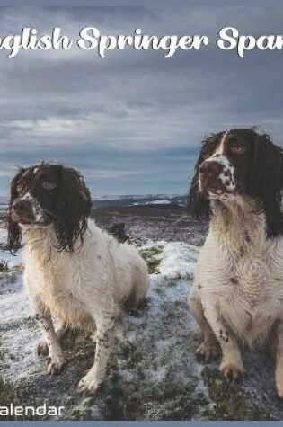 Cover of English Springer Spaniel Calendar 2022