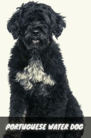Cover of Portuguese Water Dog
