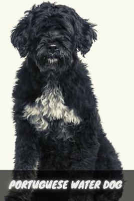 Book cover for Portuguese Water Dog