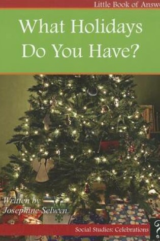 Cover of What Holidays Do You Have?