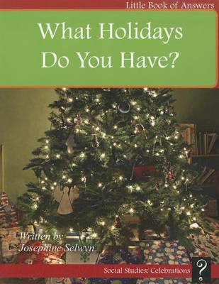 Cover of What Holidays Do You Have?