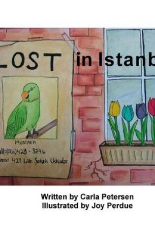 Cover of Lost in Istanbul