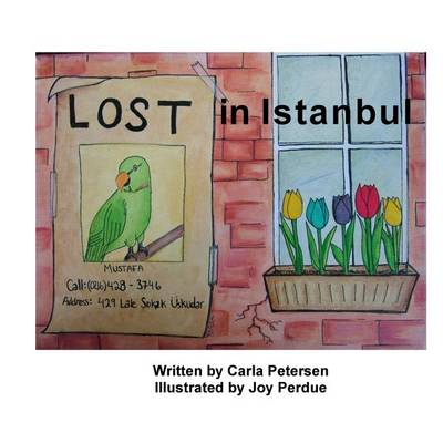 Book cover for Lost in Istanbul