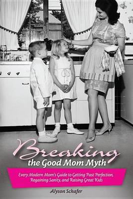 Book cover for Breaking the Good Mom Myth