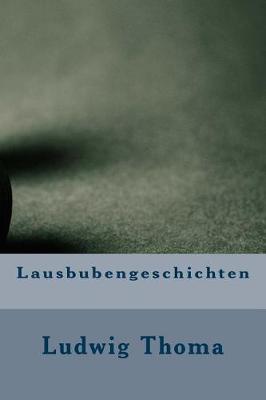 Book cover for Lausbubengeschichten