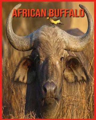 Book cover for African Buffalo