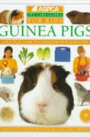 Cover of How To Look After Your Pet:  4 Guinea Pigs