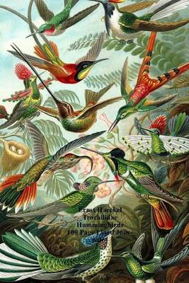 Book cover for Ernst Haeckel Trochilidae Hummingbirds 100 Page Lined Journal