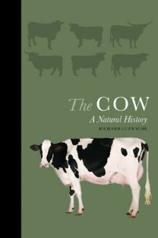 Cover of The Cow