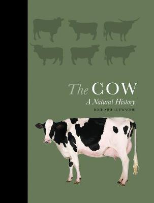 Book cover for The Cow