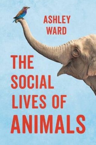 Cover of The Social Lives of Animals
